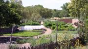 Wade tends her three-acre garden, with a 1,200-square-foot greenhouse with help from one other gardener. 