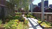 The rooftop garden, looking east