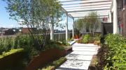 The new museum’s rooftop garden, looking west