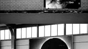 <i>Deutschland,</i> by photographer Katharina Sieverding, who discusses her work at the Harvard Art Museums