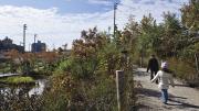In the park: the water garden