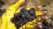 The bitumen in tar sands requires extensive processing to become a useful, synthetic crude oil. 