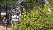 Miller has designed outdoor classroom spaces for several Boston Public Schools.