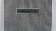Image of cover of The Space of Poetics (2015)