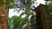 An image of a gate in Harvard Yard