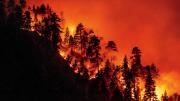 A California hillside burns