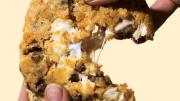 Photograph of cornflake chocolate chip marshmallow cookie from the book “Science and Cooking” 