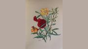 Painting: Carnations, Gillyvors, Willow
