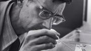 Photograph of E.O. Wilson observing ants