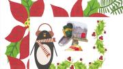 Borders from family Christmas letters, in Christmas seasonal motifs and colors
