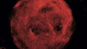A single, fat cell (red), its nucleus at top (blue)—the subject of new research on obesity
