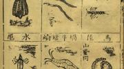Pages from a first edition of the <i>Bencao gangmu</i> illustrate insects demonic and quotidian (this image) and assorted dragons and their bones (next image), all prescribed by Li for use in medicinal drugs.