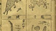 Pages from a first edition of the <i>Bencao gangmu</i> illustrate insects demonic and quotidian (previous image) and assorted dragons and their bones, all prescribed by Li for use in medicinal drugs.