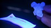 Katherine Caputo ’12 displays the glow-in-the-dark gummy bears she created for her final project in Science of the Physical Universe 27: "Science and Cooking: From Haute Cuisine to Soft Matter Science”