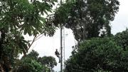 Robert Newell ’12 climbs the 42-meter tower at ZF-2