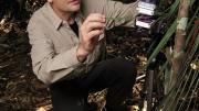 Professor Paul Moorcroft measures photosynthesis in an understory palm.