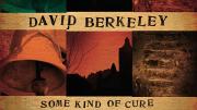 The cover of David Berkeley’s newest CD, <i>Some Kind of Cure.</i>