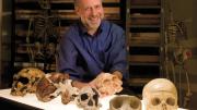 A skull session with human evolutionary biologist  Daniel Lieberman in the fossil room at the Peabody Museum.  Millions of years  of natural selection have shaped the human head. From left to right: a  Neanderthal; <i>Homo erectus; Homo habilis;  Australopithecus africanus; Pan troglodytes</i> (common chimpanzee);  <i>Homo sapiens</i> (human).  “Gonzo,” a Neanderthal skeleton, stands in the back.