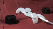 Whitesides and his team modeled the soft robots after simpler organisms like worms and starfish.