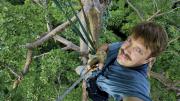 One of the 146 trees Tim Laman climbed to capture images of the rain forests&rsquo; avian dwellers. 