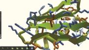 In the game Foldit, players compete to build stable configurations of the biological molecules called proteins. 
