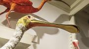 A roseate spoonbill and two ibises
