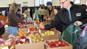Apples grown at Apex Orchards in Shelburne, Massachusetts