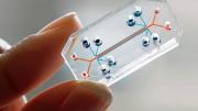 The Wyss Institute team seeks to build and link 10 human organs-on-chips to simulate whole-body physiology.