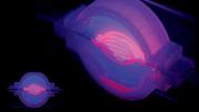A serpentine proximal tubule (light pink) snakes through the center of a multi-layer network of blood vessels (hot pink), all created using a 3-D printer.