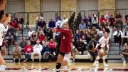 Harvard volleyball player Sandra Zeng setting a ball during a game