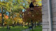 Harvard Yard in the fall