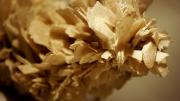 Here quartz has replaced anhydrite, in the process taking on the latter's shape to create a pseudomorph. The specimen comes from Ametista Do Sul, Rio Grande Do Sul, Brazil.
