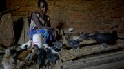 Nshemereirwe in her chicken coop