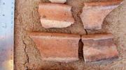 Ceramic sherds collected for study
