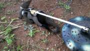 This unorthodox de-mining team avoids most of the traditional pitfalls. Metal detectors give too many false alarms, fooled by bullets or other debris. Hand-held ground-penetrating radar machines are too expensive. Dogs weigh enough to trigger mines, injuring or killing themselves and their handlers.