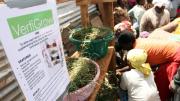 Women in Kibera’s Gatwekera section plant seeds in a prototype of the VertiGrow planter, designed to maximize vertical space and enable growing food without much land. The original prototype, designed at Harvard, was made of PVC pipe. In Kibera, Nowak asked the women how to construct the planter out of cheap, readily available local materials.