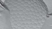 The diameter of one of Dressaire&rsquo;s bubbles is one one-hundredth that of a human hair and the individual polygons are only about 50 nanometers wide. To obtain this image, Dressaire used a powerful transmission electron microscope.