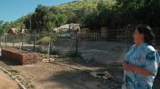 Ana Lamilla surveys the Renca development from the still-under-construction park on a ridge above. Behind her, part of the squatter settlement where she once lived remains.