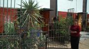 Ortega stands in front of her home. She fenced in her yard and filled it with plants, which she sells to support herself and her two-year-old grandson.