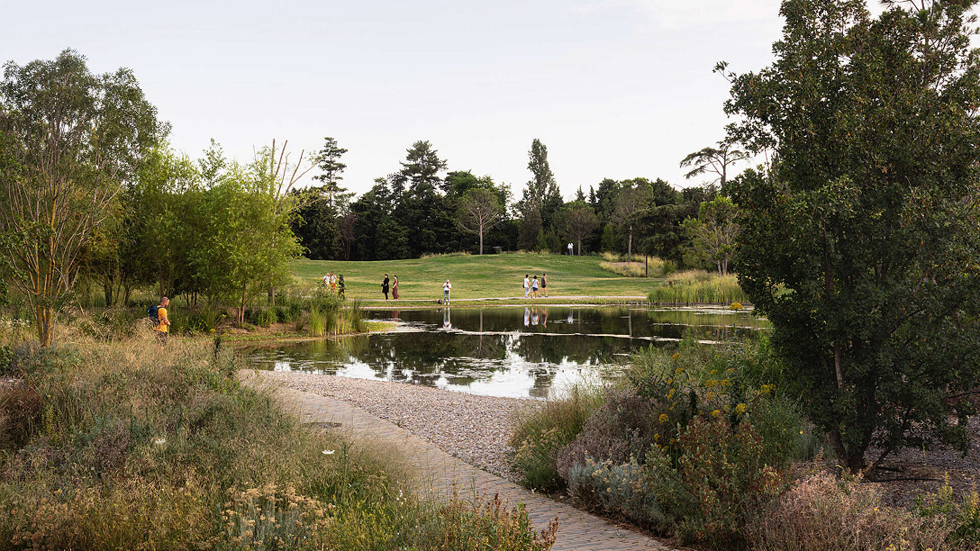 Harvard's Landscape Architect Bas Smets on Cooling Cities | Harvard ...