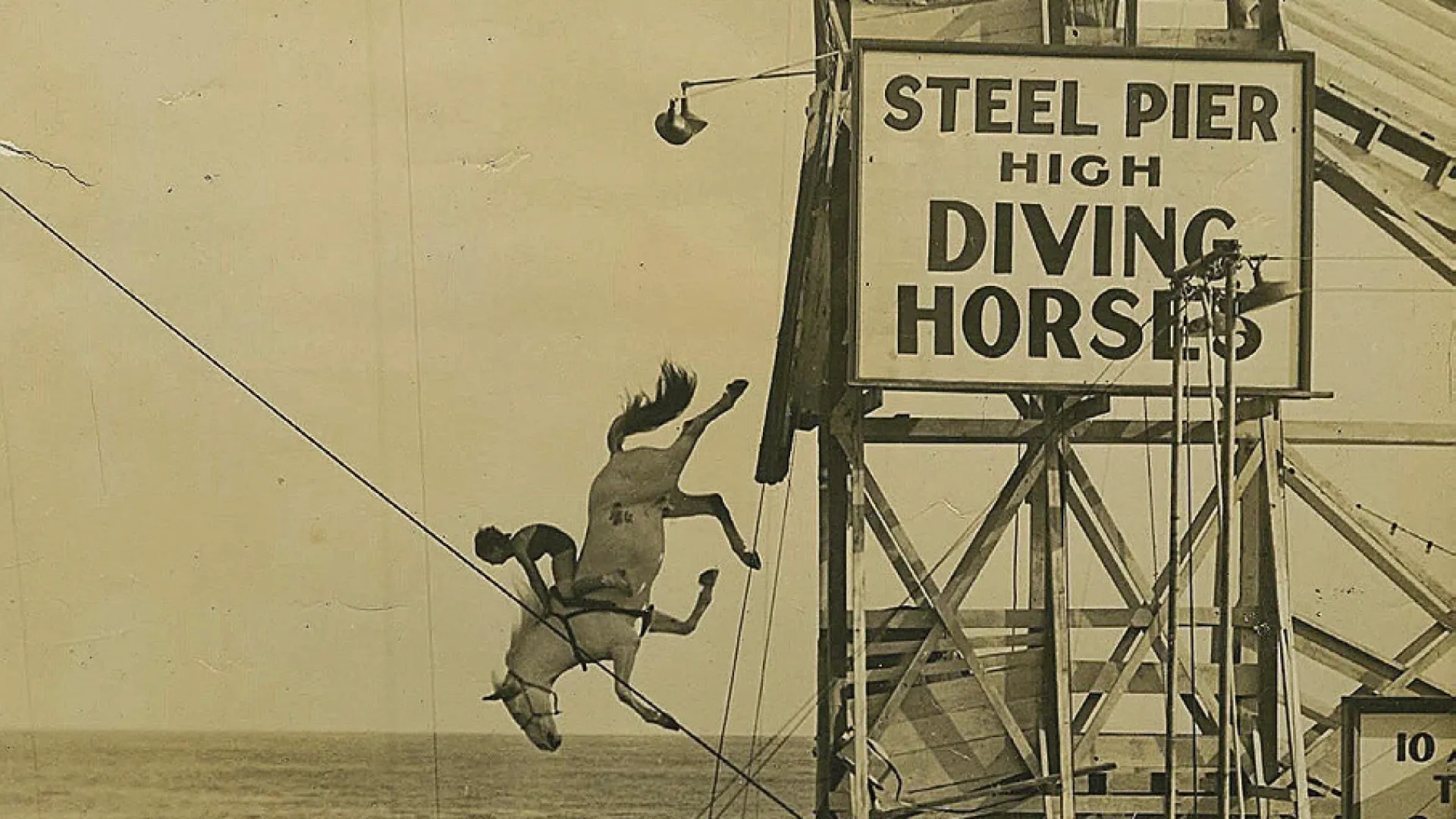 The Woman Who Rode Horses Into the Water | Harvard Magazine