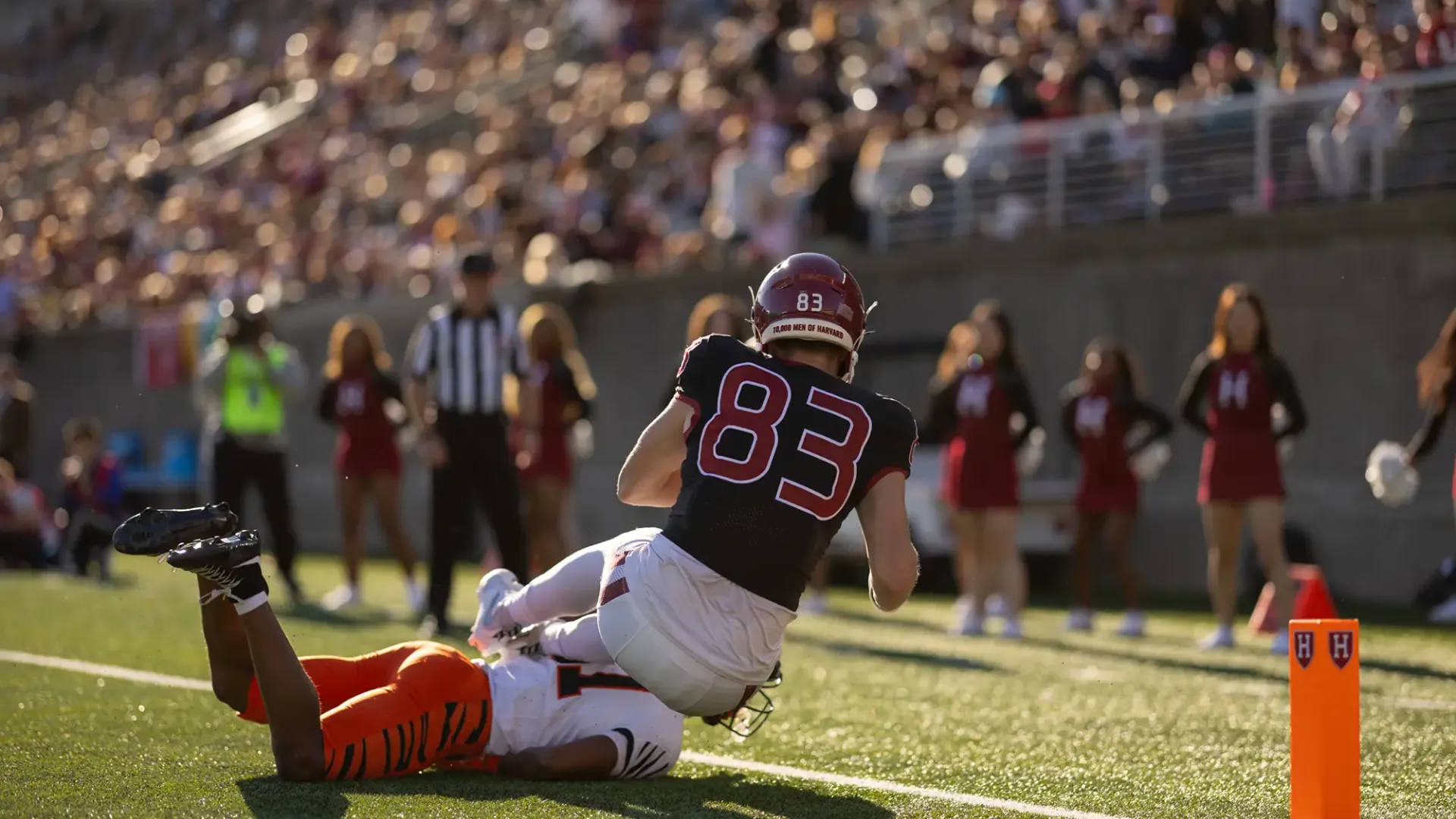 Crimson Football: Harvard 35, Princeton 7 | Harvard Magazine