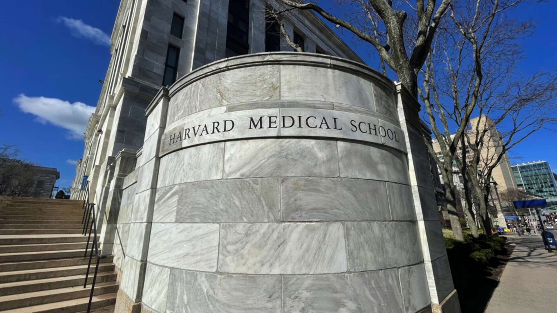 Public Health Messaging in a Pandemic | Harvard Magazine