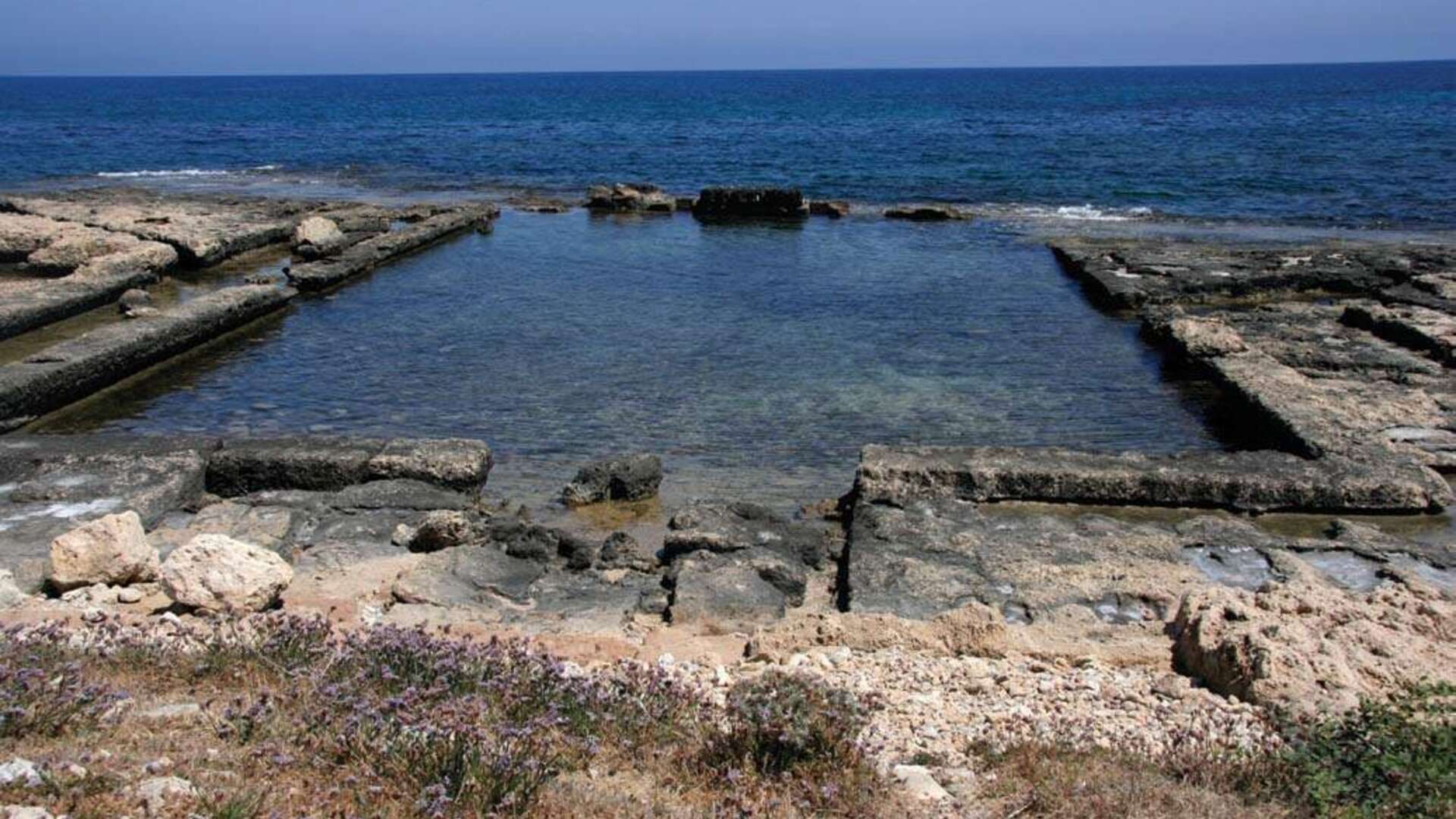 Roman fish tanks track ancient sea level | Harvard Magazine