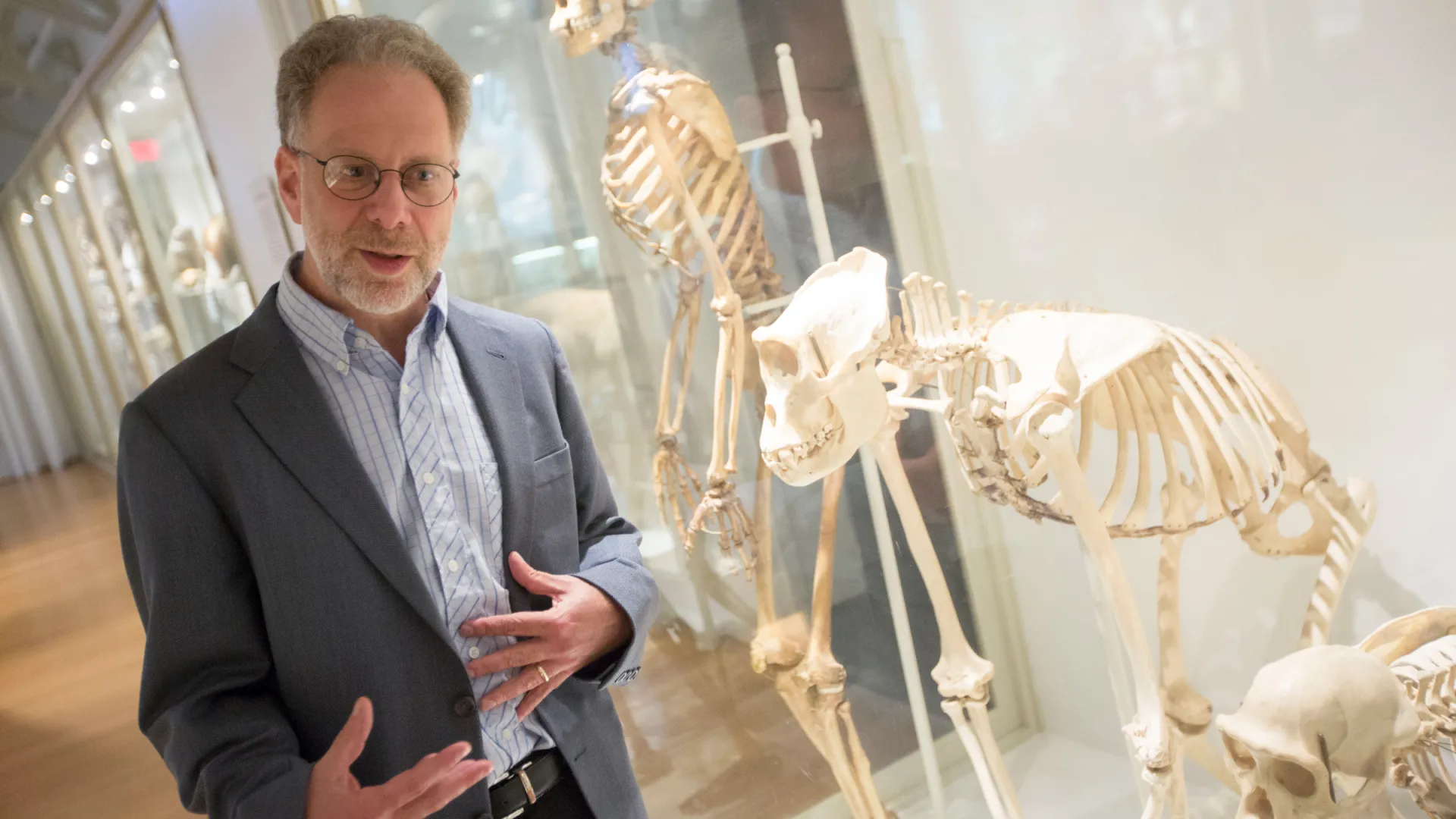 Harvard professor Daniel Lieberman discusses health and human evolution ...