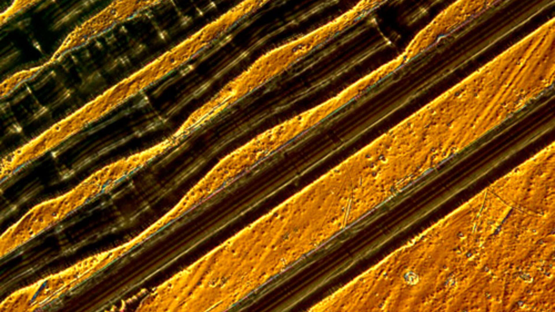 Nanoscience in photographs | Harvard Magazine
