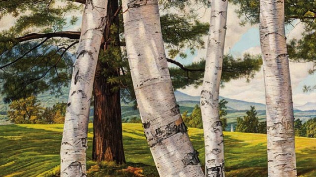 colorful painting detailing birch trees