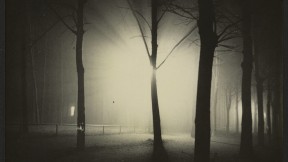 <i>Untitled</i> (Night View of Trees and Streetlamp, Burgkühnauer Allee, Dessau), 1928