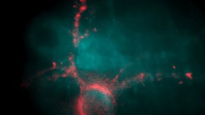 Genetic alterations allow researchers to observe the electrical firing of a neuron (pink) as a flash of light, detectable by specially modified optical microscopes.