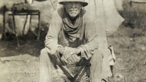 Rice in the field